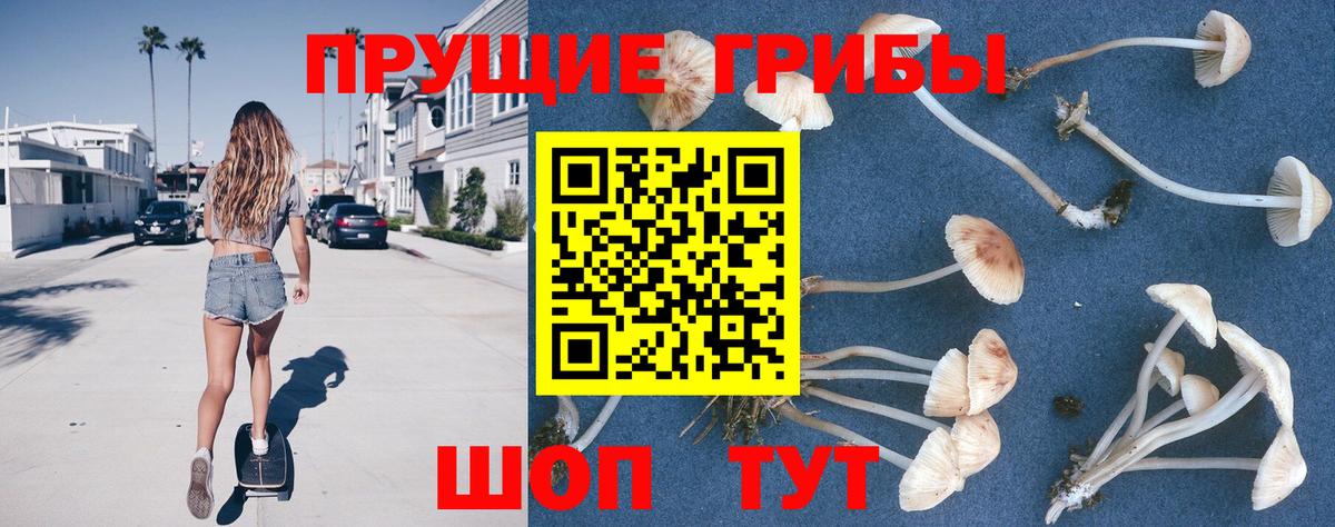 Городец  Псилоцибиновые грибы мухоморы  Вход с VPN  магазин продажи наркотиков  Псилоцибиновые грибы прущие грибы 