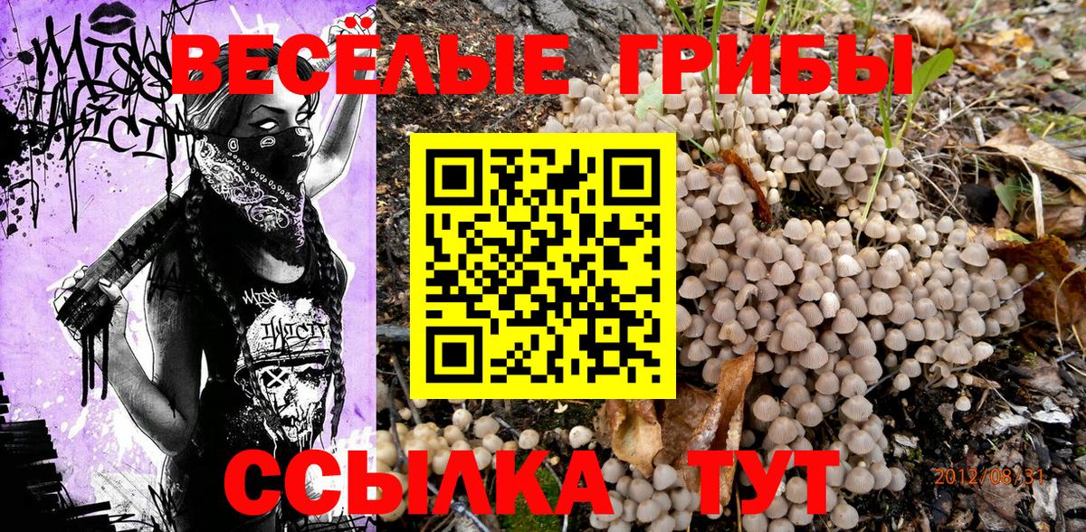 Псилоцибиновые грибы MAGIC MUSHROOMS Городец